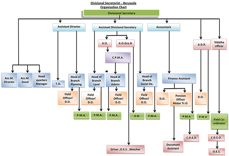 chart OE1
