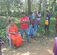 Removal of a dangerous tree in Duvegoda