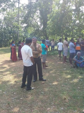 Removal of a dangerous tree in Duvegoda