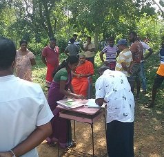Removal of a dangerous tree in Duvegoda