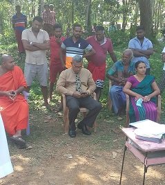 Removal of a dangerous tree in Duvegoda
