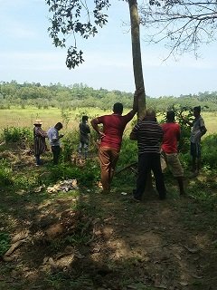 Survey of land in connection with the project of providing Mahavelya land for cultivation