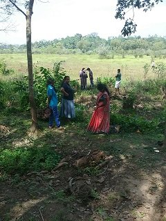 Survey of land in connection with the project of providing Mahavelya land for cultivation