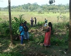 Survey of land in connection with the project of providing Mahavelya land for cultivation