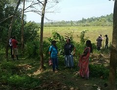 Survey of land in connection with the project of providing Mahavelya land for cultivation
