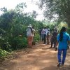 Survey of land in connection with the project of providing Mahavelya land for cultivation