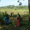 Survey of land in connection with the project of providing Mahavelya land for cultivation