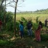 Survey of land in connection with the project of providing Mahavelya land for cultivation