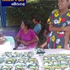 SED Mini Fair